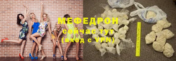крисы Бородино
