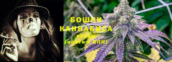 трава Осинники